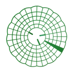 Khung Đỡ Trồng Dâu Tây Trang Trại Tăng Đậu Quả và Dễ Thu Hoạch