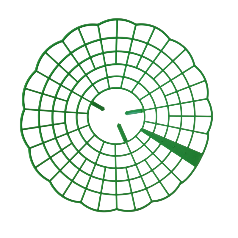 Khung Đỡ Trồng Dâu Tây Trang Trại Tăng Đậu Quả và Dễ Thu Hoạch