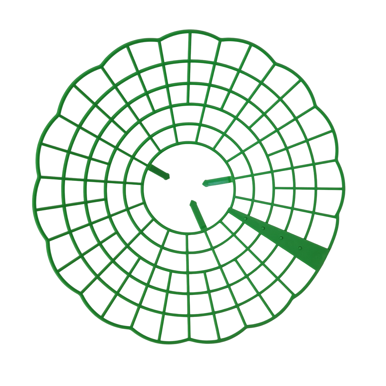 Khung Đỡ Trồng Dâu Tây Trang Trại Tăng Đậu Quả và Dễ Thu Hoạch
