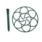 Khung Hoa Mười Giờ