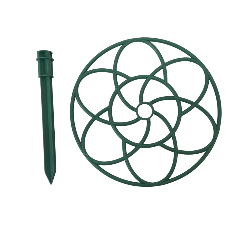 Khung Hoa Mười Giờ