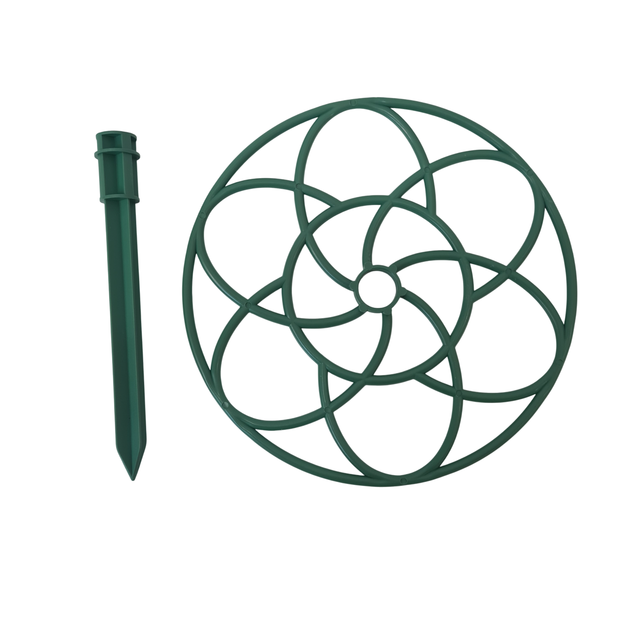 Khung Hoa Mười Giờ